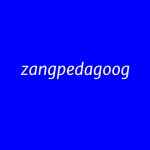 zangpedagoog